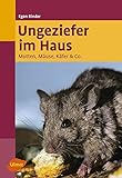 Ungeziefer im Haus: Motten, Mäuse, Käfer & Co.